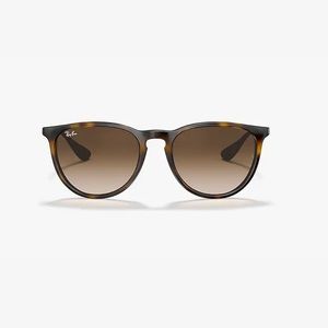 Polarized Tortoise Ray-Ban Sunglasses